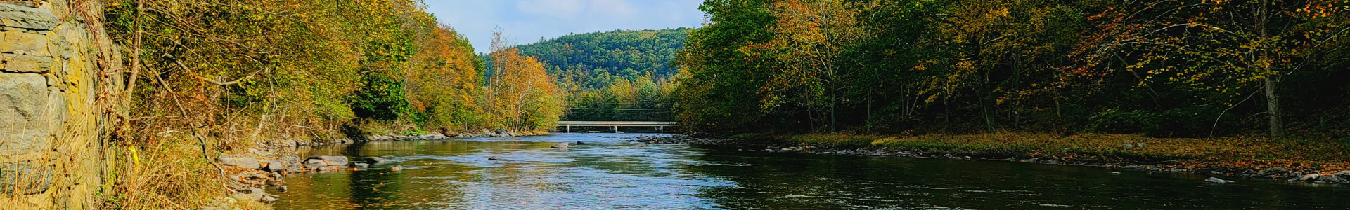 A river with fall foliage and a bridge in the background
