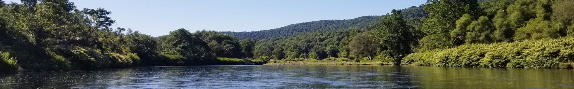 view of the Delaware River in summer