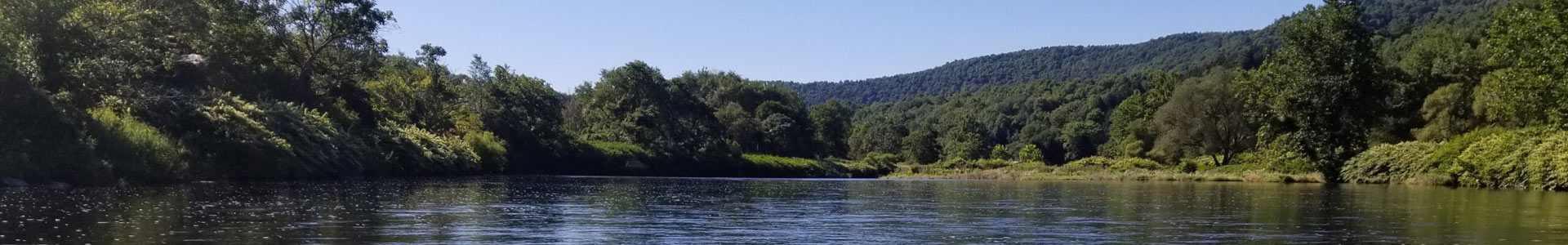 Summer view of the Delaware River