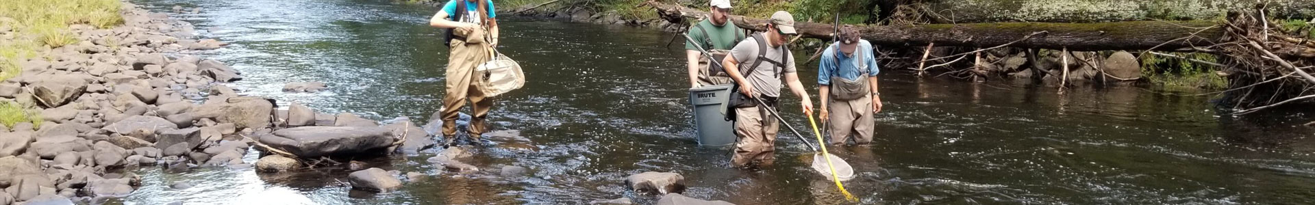 staff in the river with D-frame nets