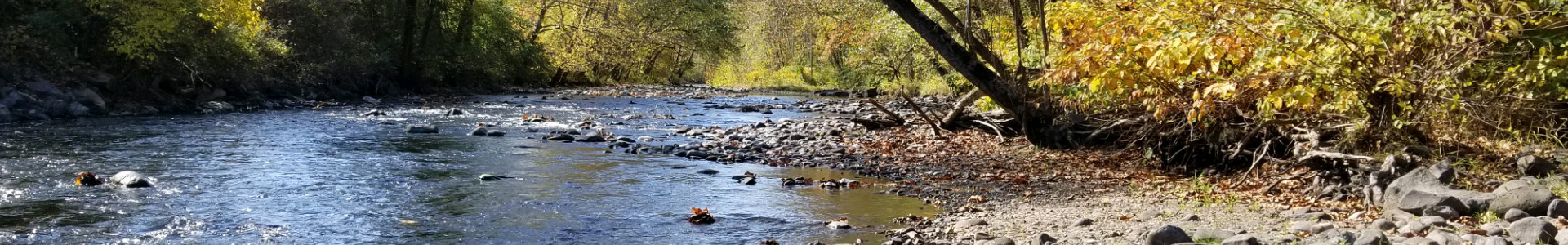rocky stream surrounded by fall foliage