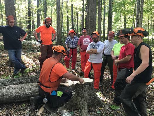 A person kneeling at a recently cut tree stump with a group of others standing around and listening