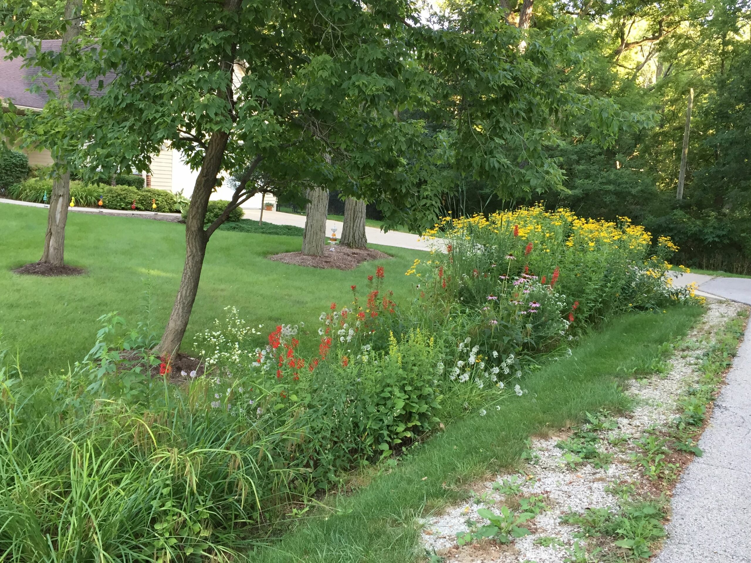 A vegetative buffer between a yard and the street