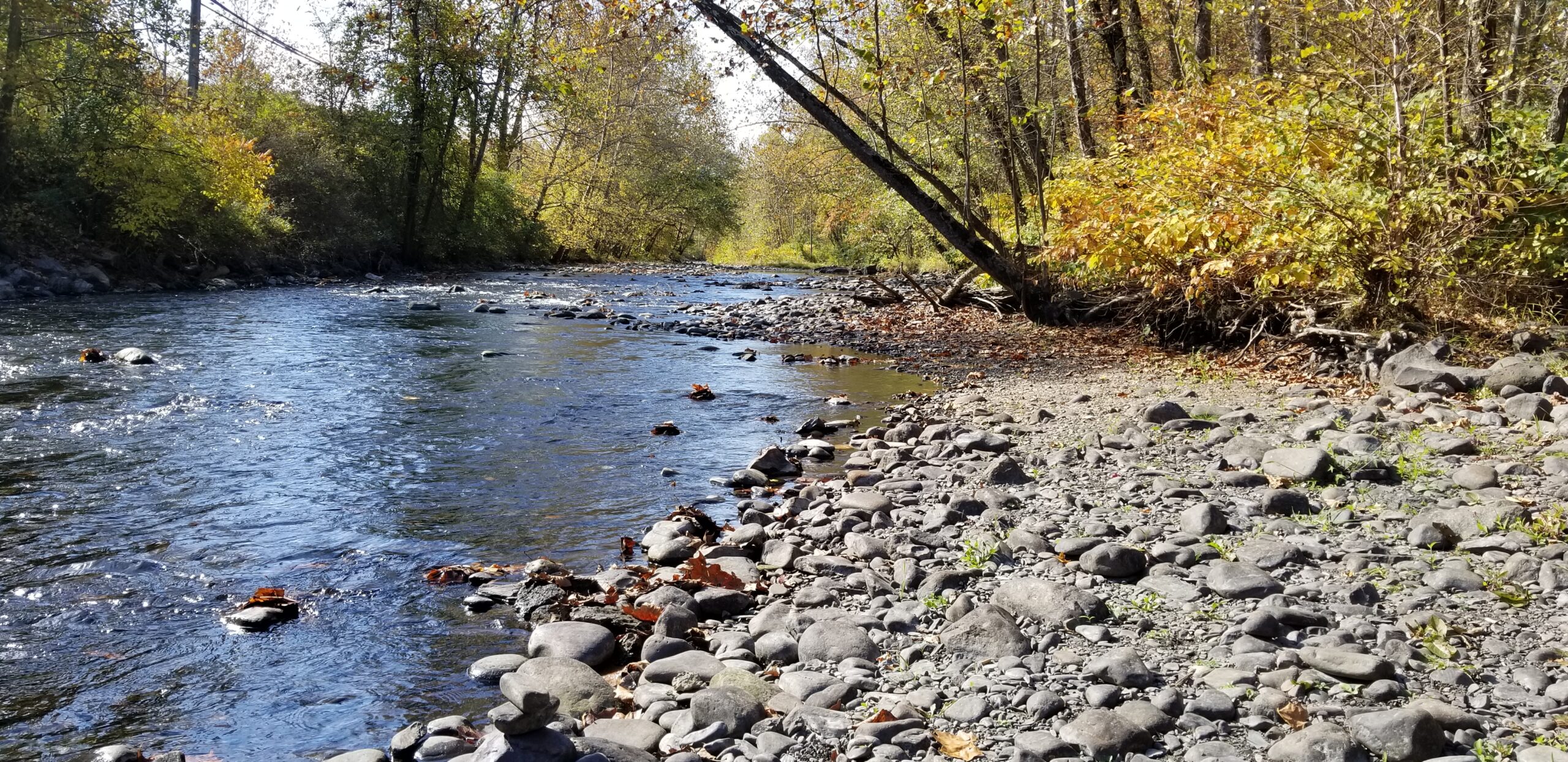 A stream with a rocky shore with fall foliage