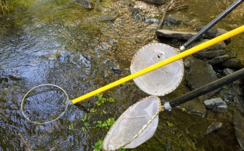 The electrofishing anode and the nets to catch the stunned fish.