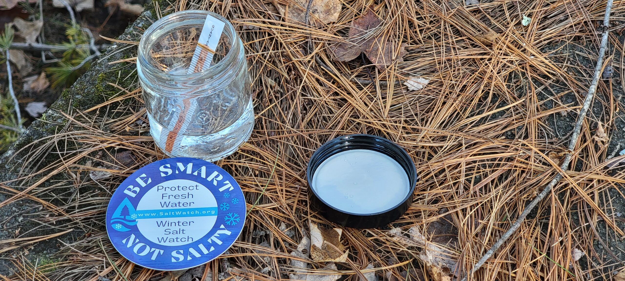 A Winter Salt Watch test immersed in a jar of water with a circle cutout with the message "Be Smart Not Salty"