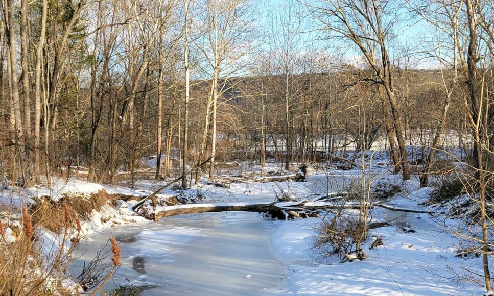 Source Water Protection and the Pocono Source Water Protection Collaborative