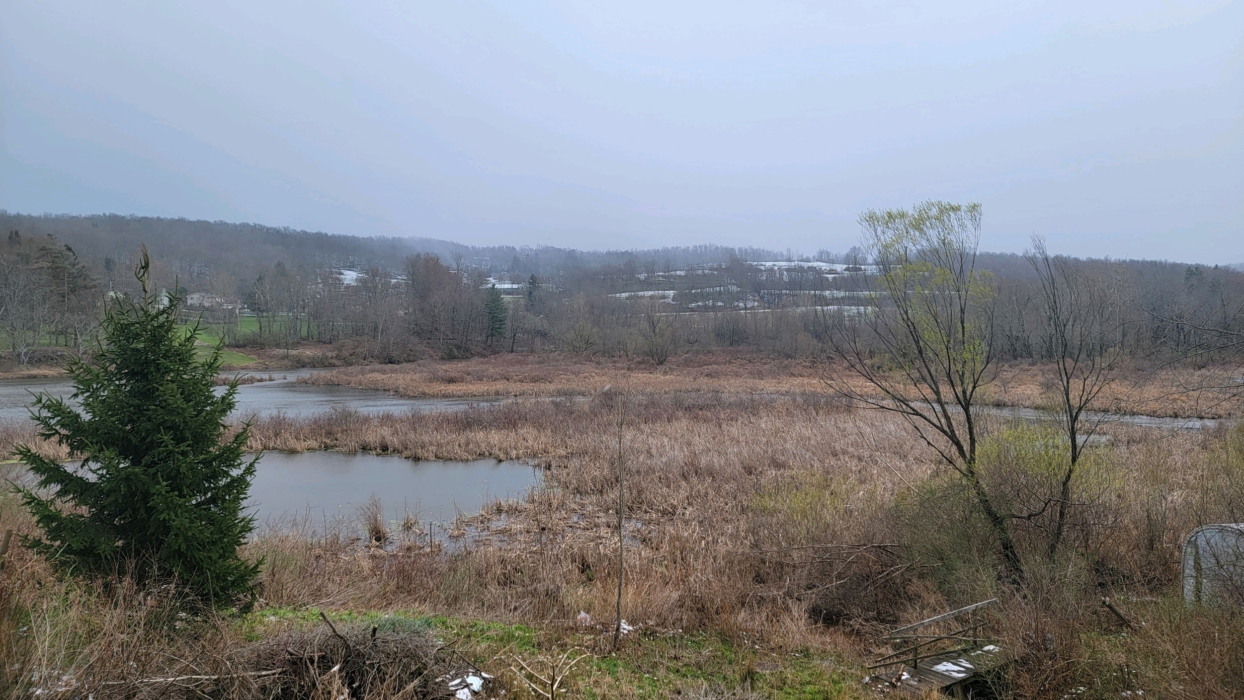 A wetland in winter with leafless trees and spots of melting snow