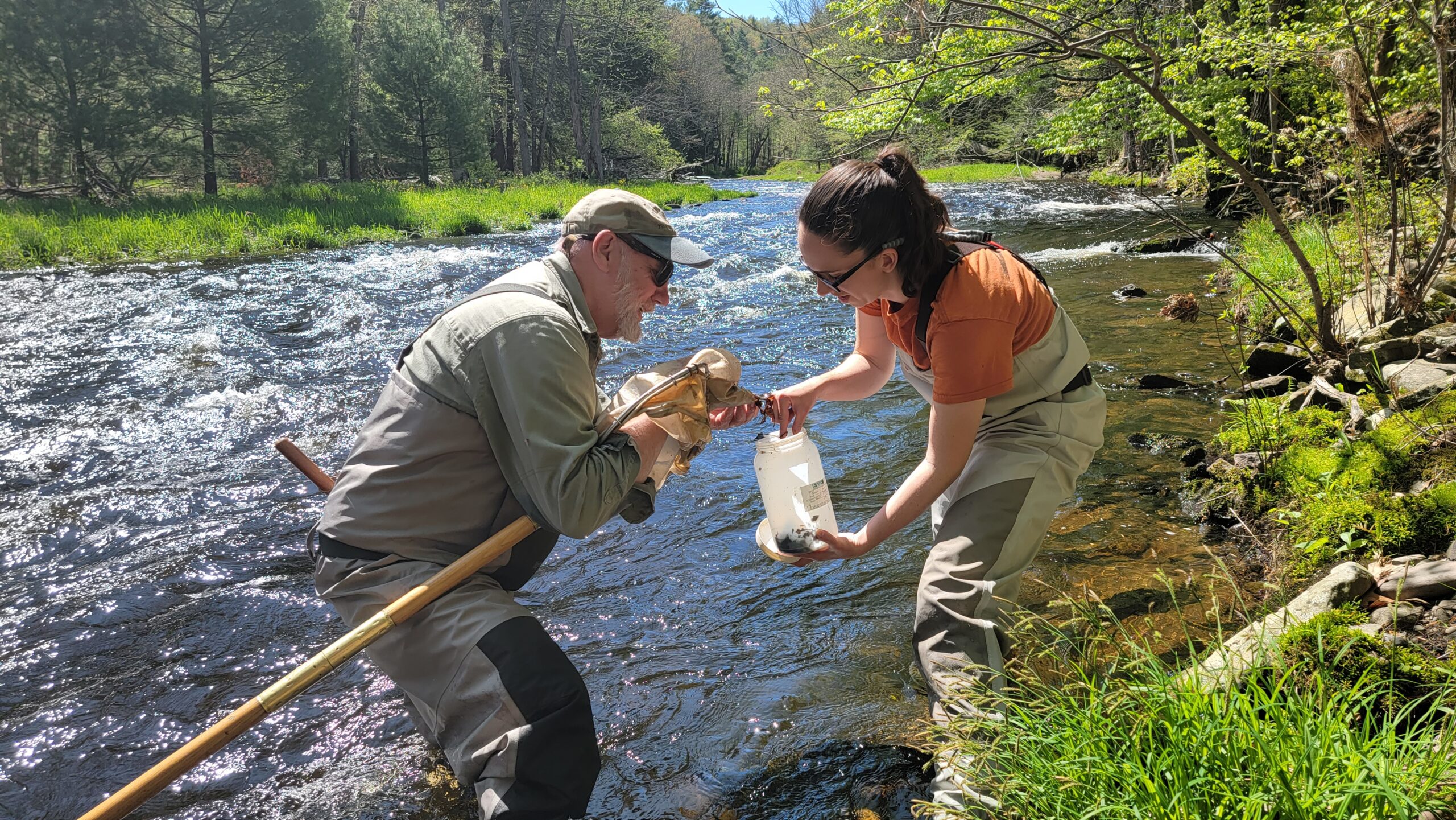 A staff and board member macroinvertebrate sampling, transferring samples from a net into a jar