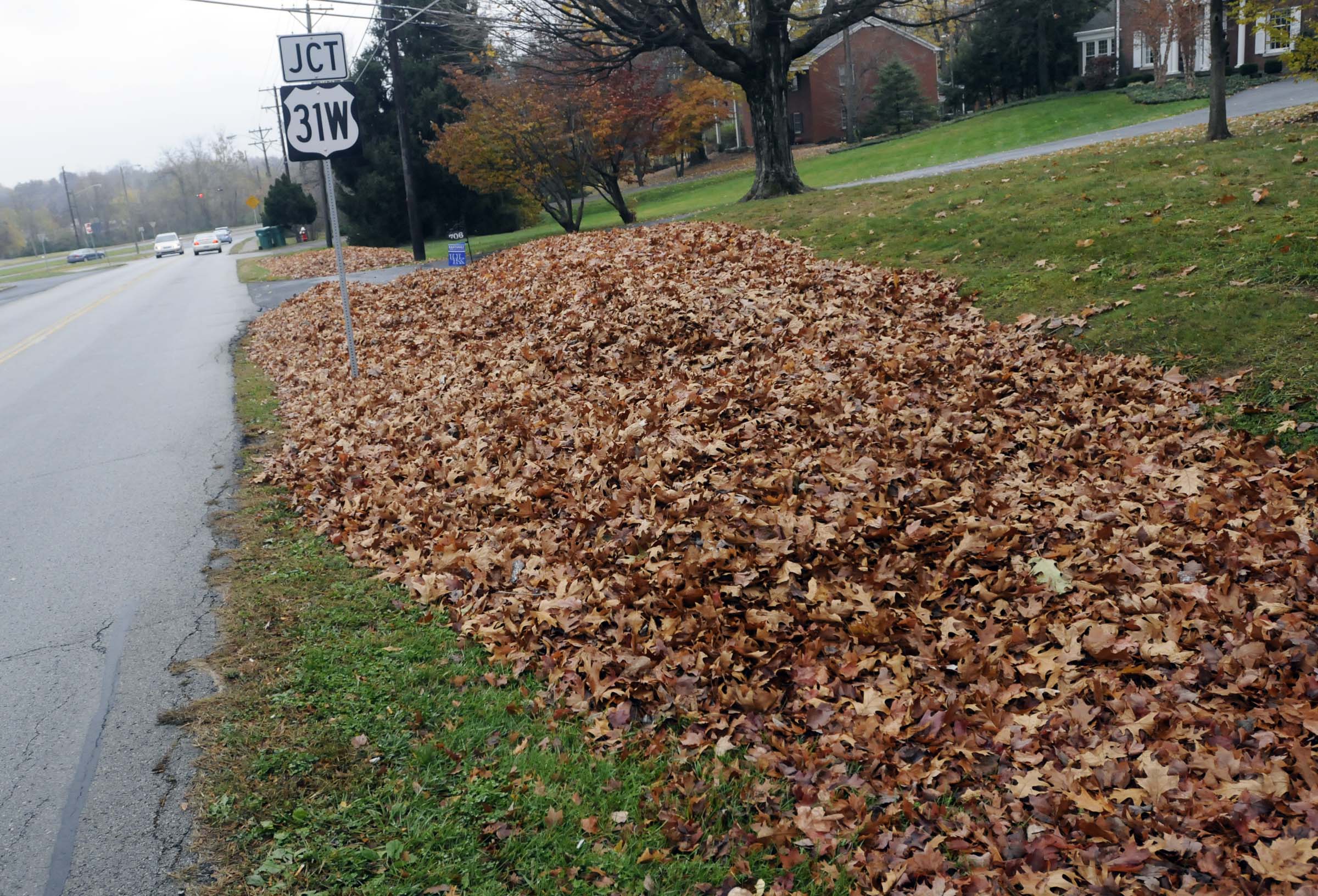 Fall leaves filling a road side ditch