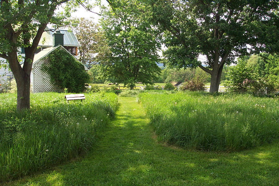 A picture of a lawn with only a strip of cut grass