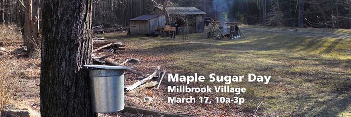 A bucket on a tree with the words "Maple Sugar Day