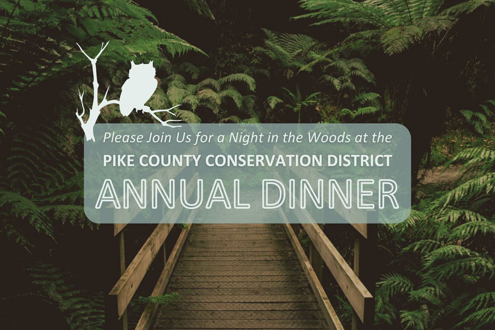 A wooden bridge on a trail lined with ferns and the text "Please join us for a Night in the Woods at the Pike County Conservation District Annual Dinner" with an owl silhouette