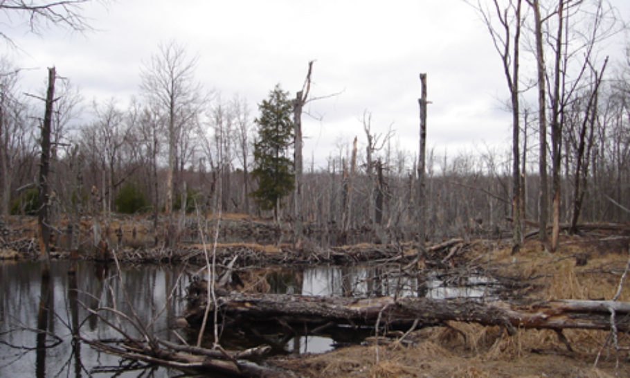 Welcome - Pike County Conservation District