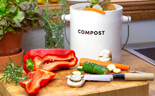 Photo of a kitchen compost container with vegetables.