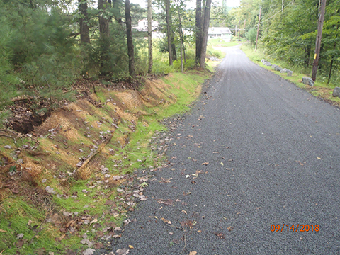 A road with an elevated and wooded side