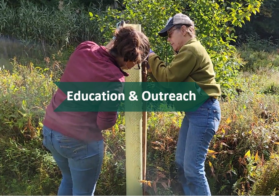 https://pikeconservation.org/wp-content/uploads/Education-and-Outreach-Tree.jpg