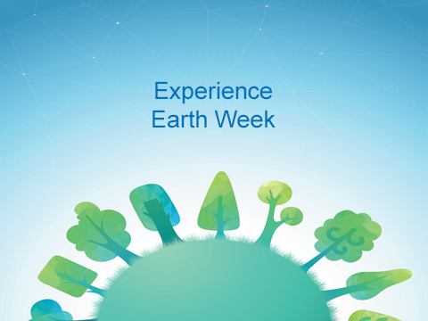 Illustration for the Pike Wayne Conservation Partnership Experience Earth Week promotion.