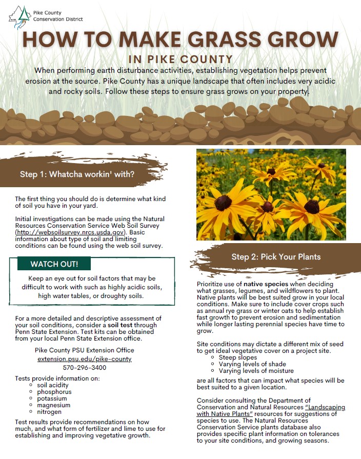 PCCD's flyer for How to Make Grass Grow in Pike County, text with cartoon soil and a photo of black eyed susan flowers