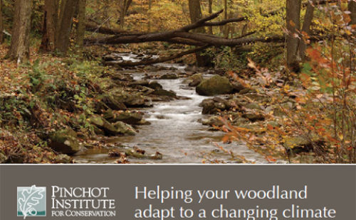 Photo of a report by the Pinchot Institute for Conservation titled Helping Your Woodland Adapt to a Changing Climate with a photo of a small stream with logs fallen across it in fall