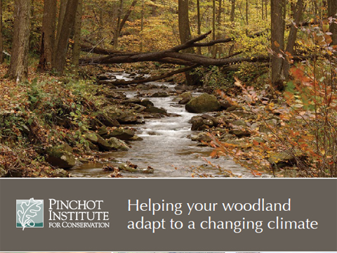 Photo of a report by the Pinchot Institute for Conservation titled Helping Your Woodland Adapt to a Changing Climate with a photo of a small stream with logs fallen across it in fall