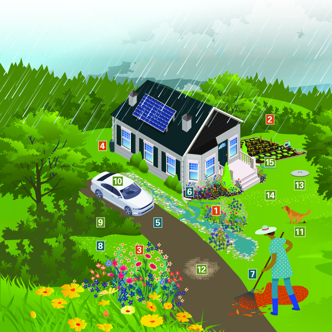 An screenshot of the PCCD interactive graphic for a Watershed Friendly Home, depicting a house with a car in the driveway, native plants in the yard, a dog pooping on the grass, and a person raking leaves, with numbers distributed across which can be clicked on for more information when using the interactive diagram