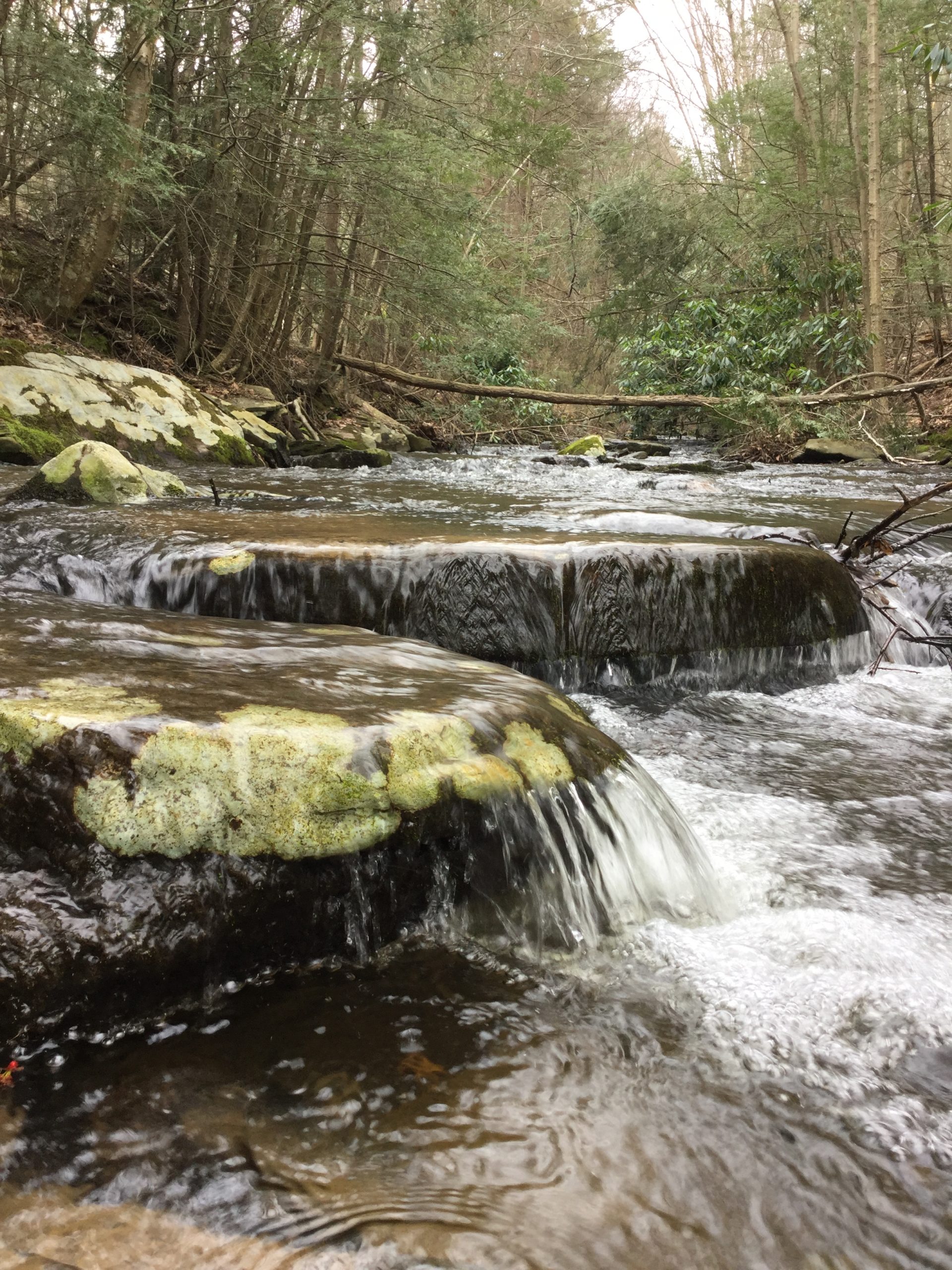 A stream with large mossy rocks