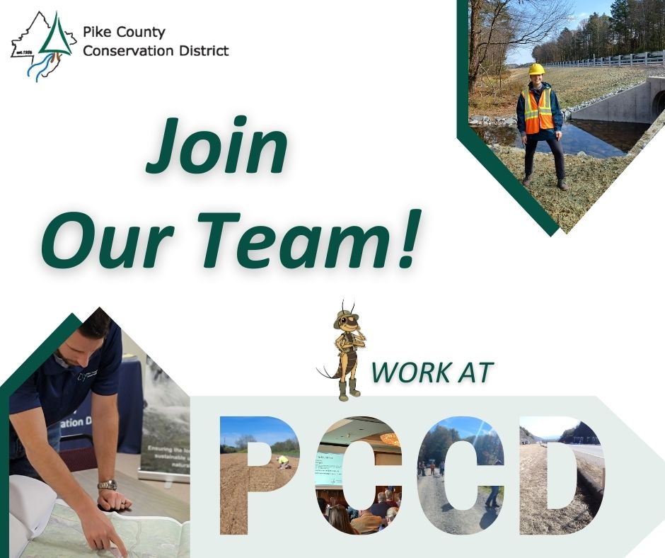 A graphic with photos of District staff and the text "Join our team! Work at PCCD."