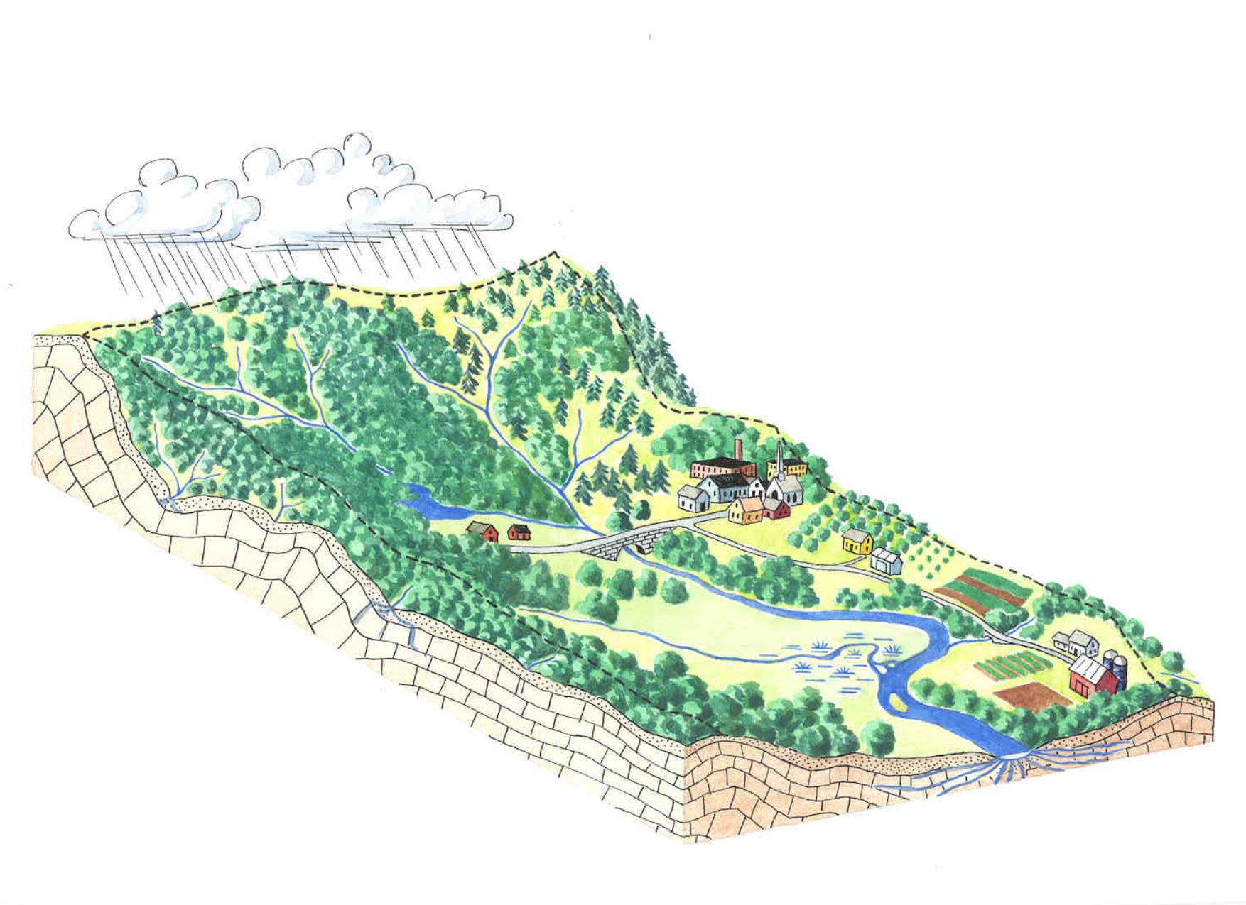 A diagram of a watershed illustrating how precipitation flows downhill via run off and surface waters like streams