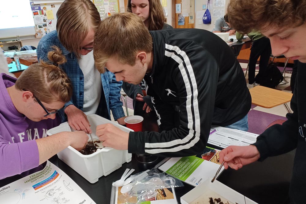 Students gather around a container of leaves and search for macroinvertebrates