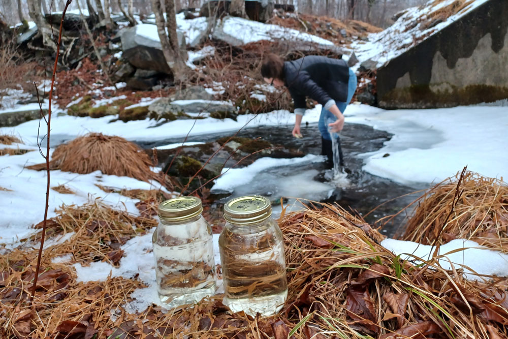 Two glass jars on the bank of the stream with Watershed Specialist Rachael collecting water in the stream in the background