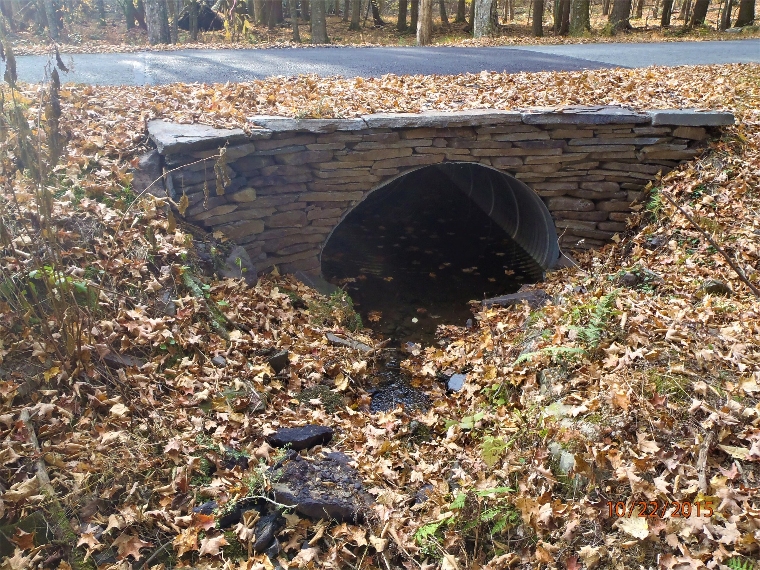 A small bridge over a small stream