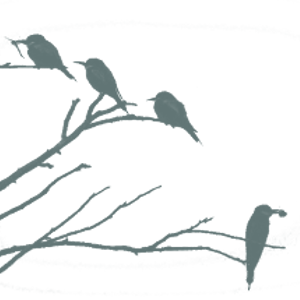 Illustrated silhouette of birds on a branch