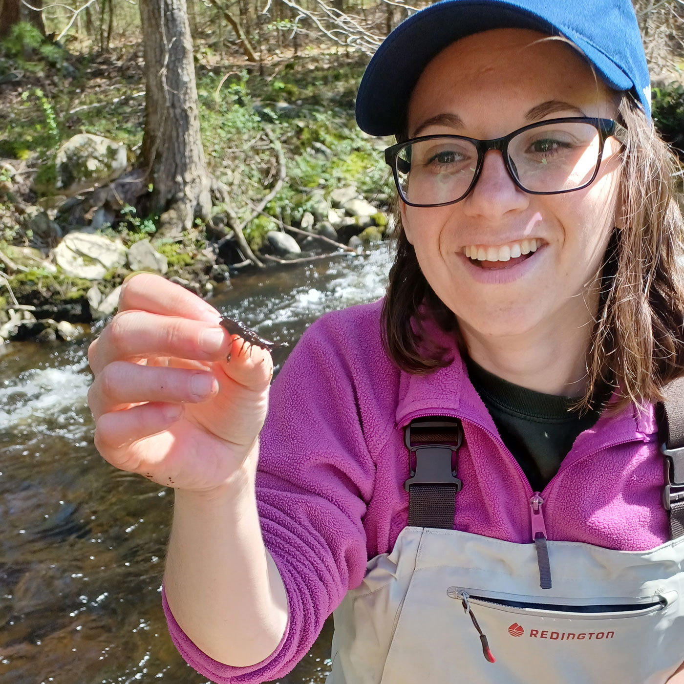 Watershed Specialist wearing waders in a stream and holding a stream insect