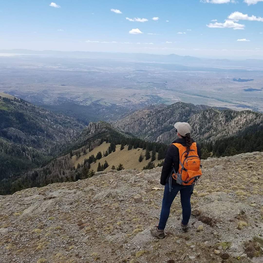 Watershed Specialist looking on a mountain looking out over the valley