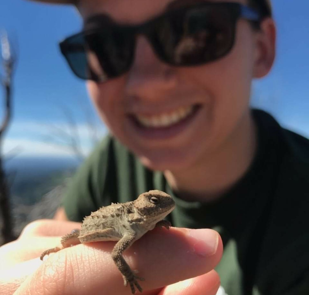Rachel holding a small horn toad on her finger towards the camera