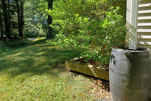 A rain barrel connected to a downspout against the side of a building