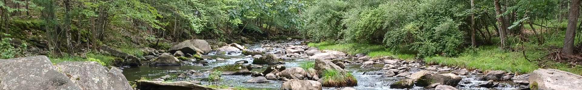 A stream with large rocks and vegetated shores