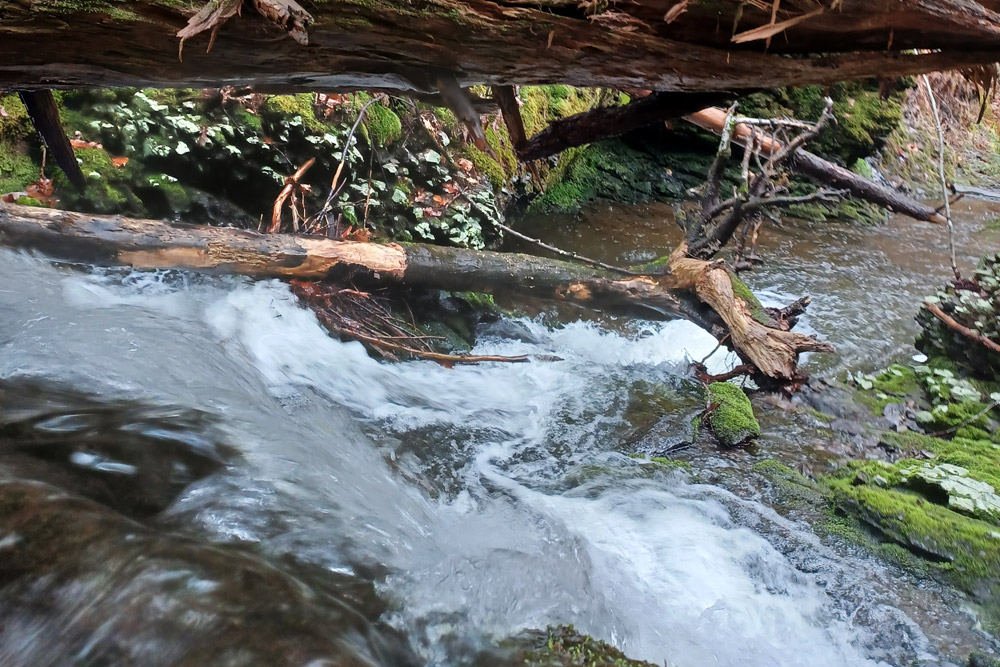 Water rushing down a small waterfall beneath a fallen log