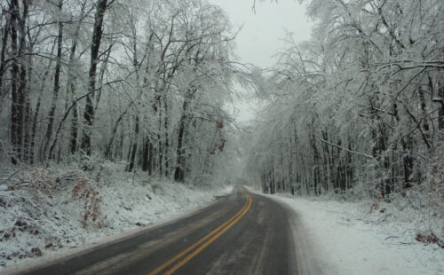 A paved road lined with snow covered trees