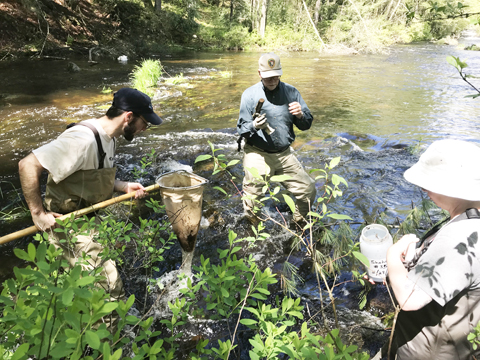 Watershed Specialist Matt Barr and two volunteers conducting surface water monitoring on Shohola Creek, standing in a creek with nets