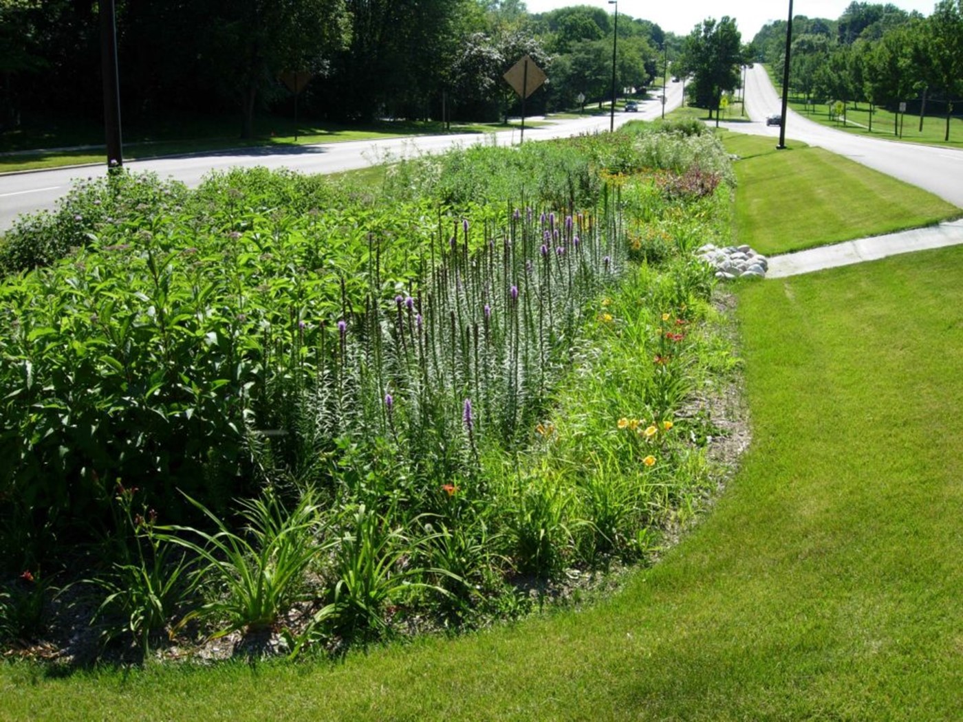 A garden with flowering plants in a mowed lawn area between two paved roads