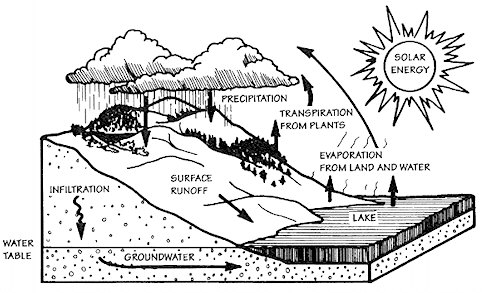 Water Cycle - Pike County Conservation District