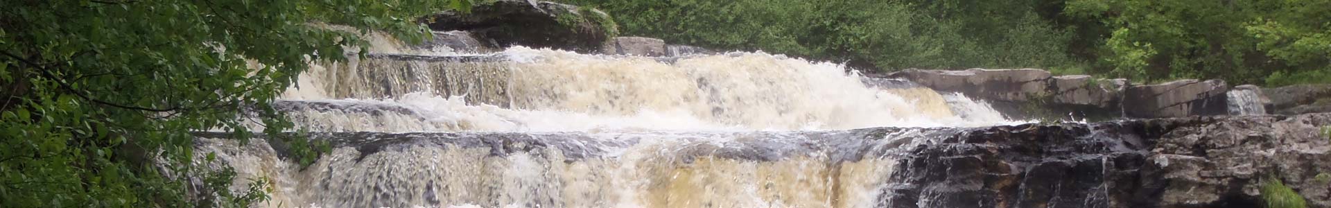 A rushing waterfall surrounded by trees