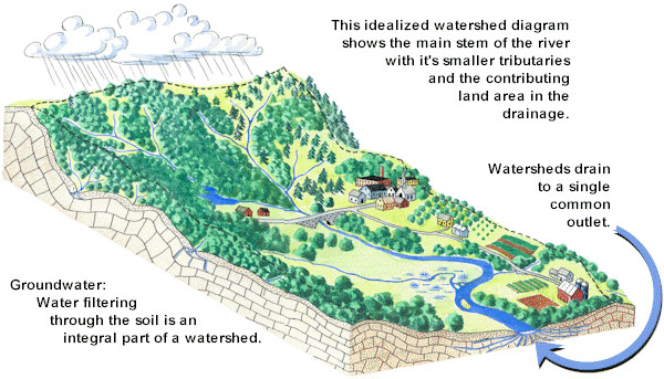 Watershed illustration