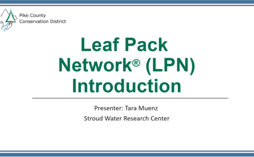 Title slide from "Leaf Pack Network (LPN) Introduction" presentation