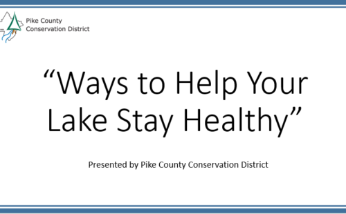 First slide of a presentation with the title "Ways to Help Your Lake Stay Healthy"