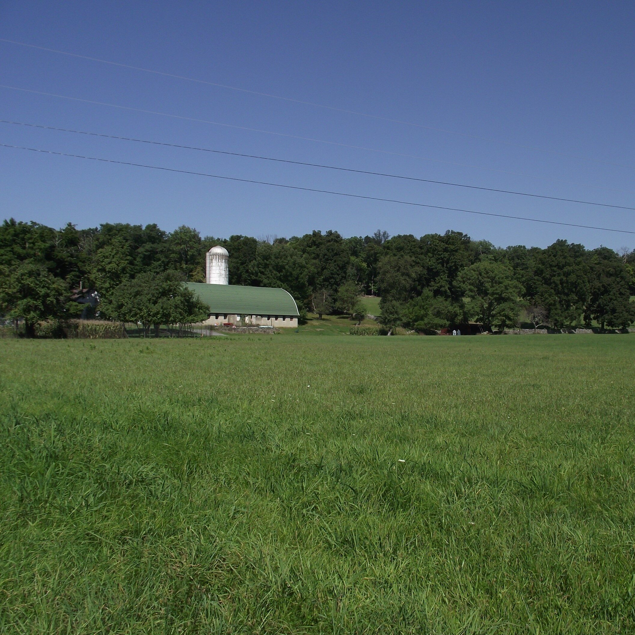 A field with a barn, silo, and trees in the distance