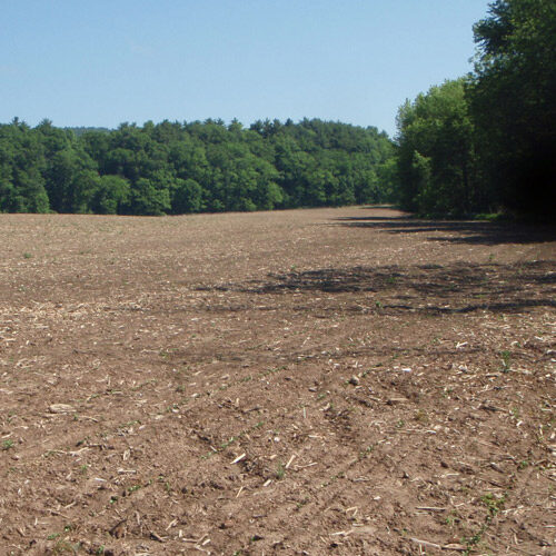 An agricultural field of soil without crop cover