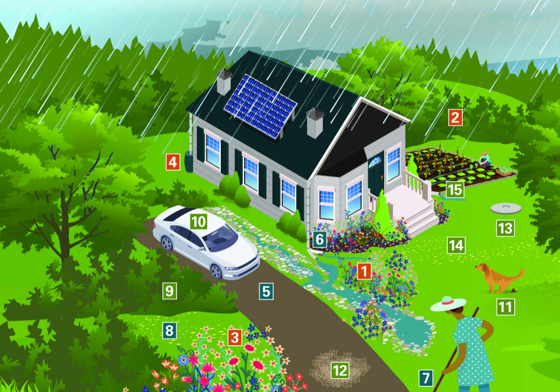 An screenshot of the PCCD interactive graphic for a Watershed Friendly Home, depicting a house with a car in the driveway, native plants in the yard, a dog pooping on the grass, and a person raking leaves, with numbers distributed across which can be clicked on for more information when using the interactive diagram